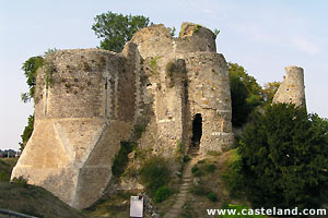 Donjon Conches avec www.casteland.com